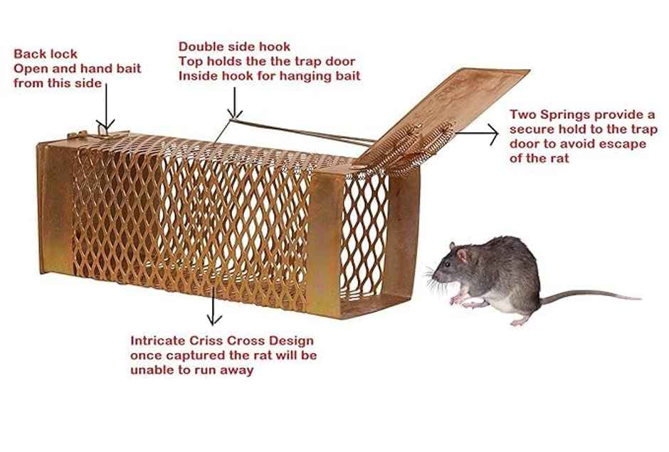 Chipku Medium Size Rat/Mouse Trap Cage For Home, Kitchen & Garden| Reusable Rat Trap