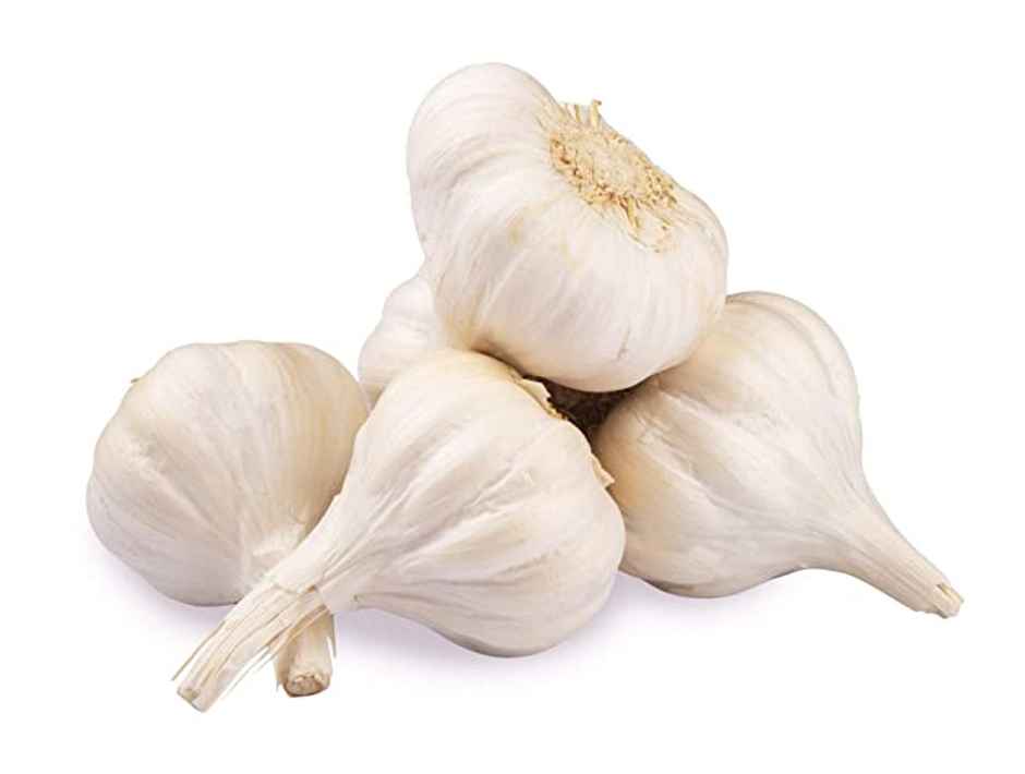 Organically Grown Garlic