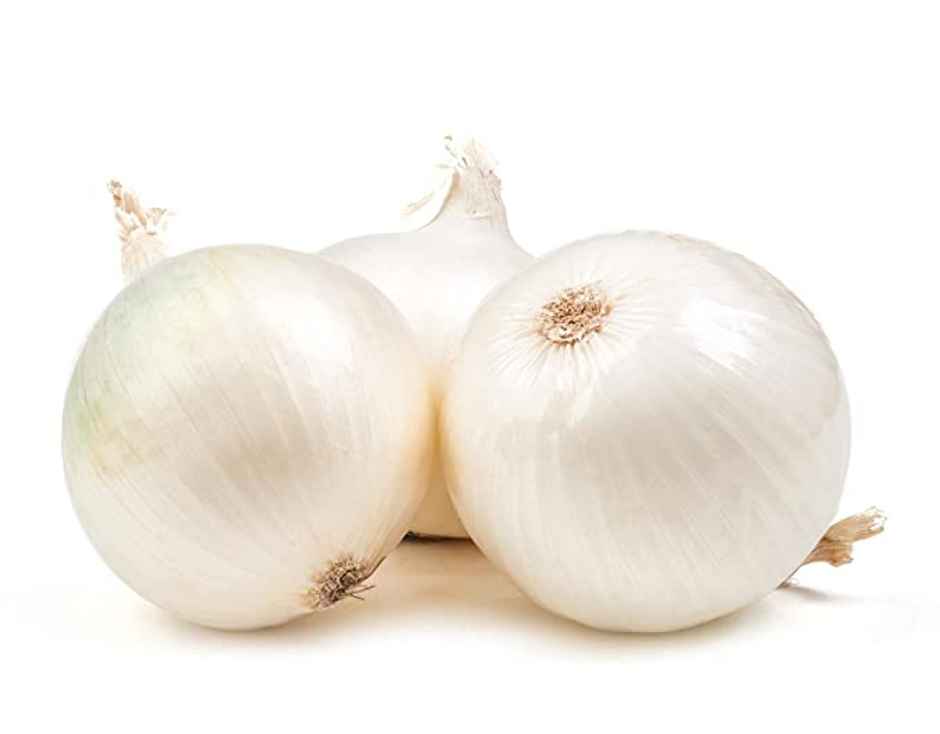 Onion White (Kanda)