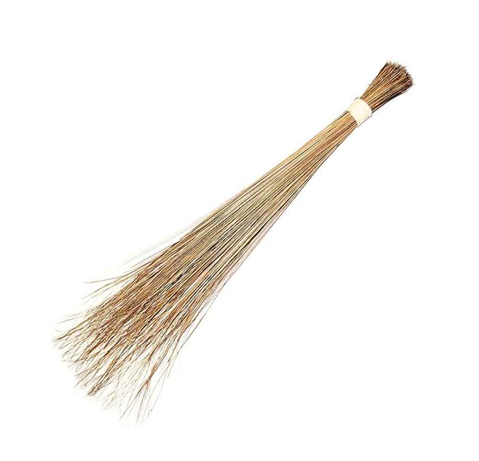 Koststix Coconut Broom Stick Washable Seekh Jhaadu for Wet Surface Cleaning