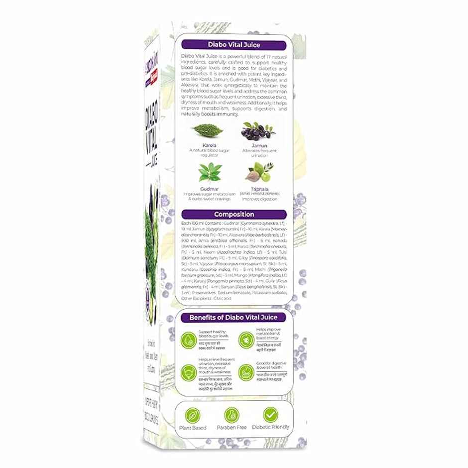 Baidyanath Diabo Vital Juice | Herbal Blend With Karela, Jamun, Neem & Gudmar