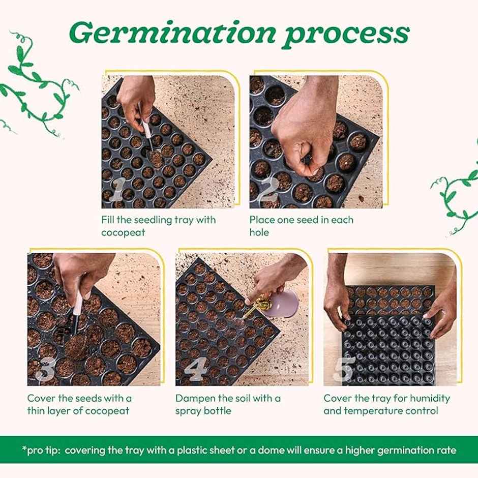 Ugaoo Capsicum Seeds