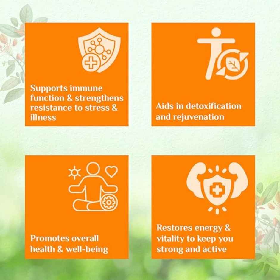 Organic India Chyawanprash Paste