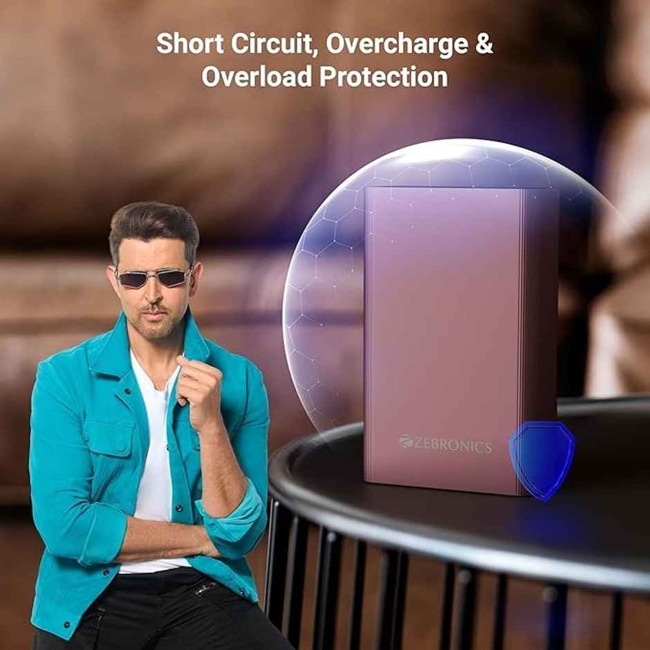 Zebronics Energi Tank 20MR1 20000mAh 22.5W Fast PD3.0 Metal Power Bank | Raspberry