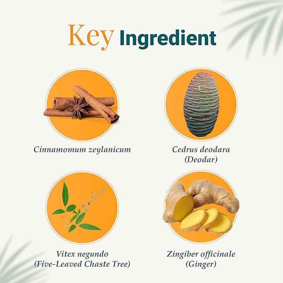 Himalaya Rumalaya Pain Relief Gel