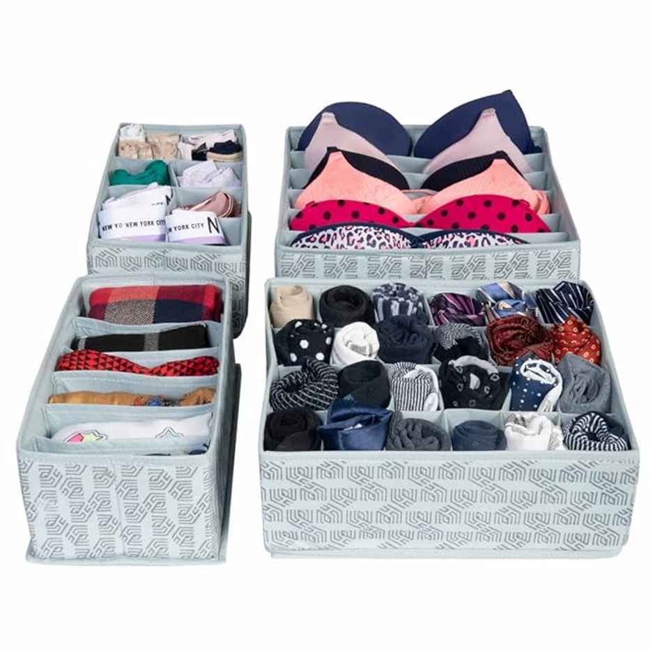 Homestrap Set Of 4 Foldable Storage Undergarment Organizer