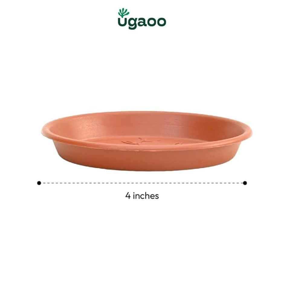 Ugaoo UV Treated Gardening Plastic Tray Plate | Saucer Pots - 4 in | Brown | Terracotta | Set of 6