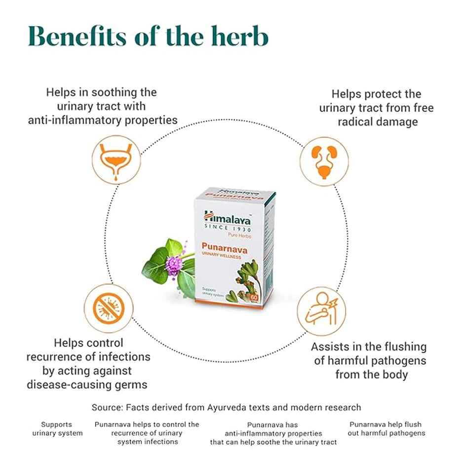 Himalaya Wellness Pure Herbs Punarnava Urinary Wellness Tablet