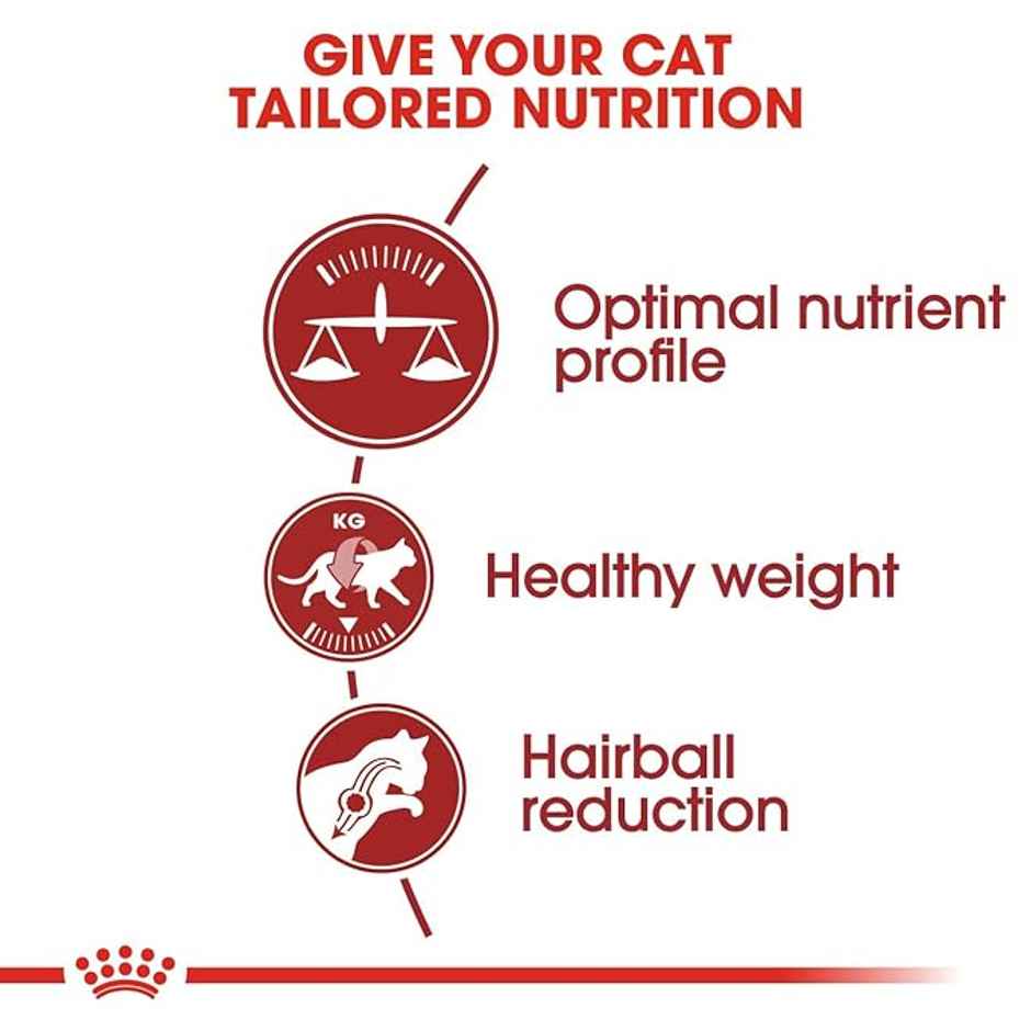 Royal Canin Fit 32 Cat Dry Food