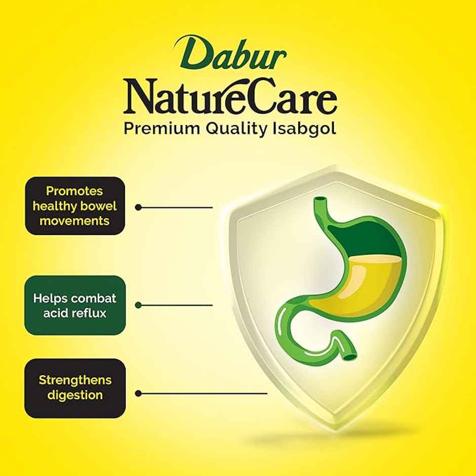 Dabur Nature Care Isabgol Powder 375g