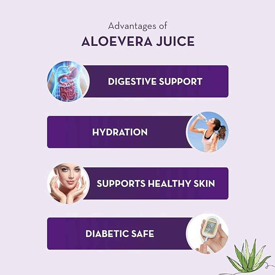 Baidyanath Aloevera Juice No Added Sugar