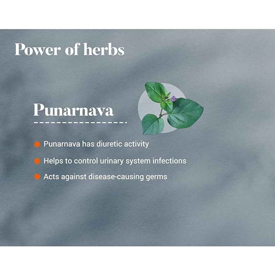 Himalaya Wellness Pure Herbs Punarnava Urinary Wellness Tablet