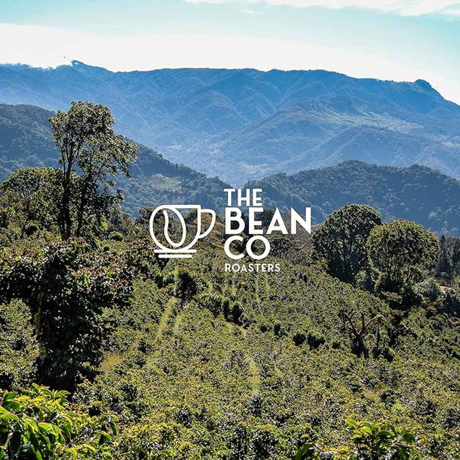 THE BEAN CO ROASTERS Espresso Blend Medium To Dark Roast 80% Arabica & 20% Robusta