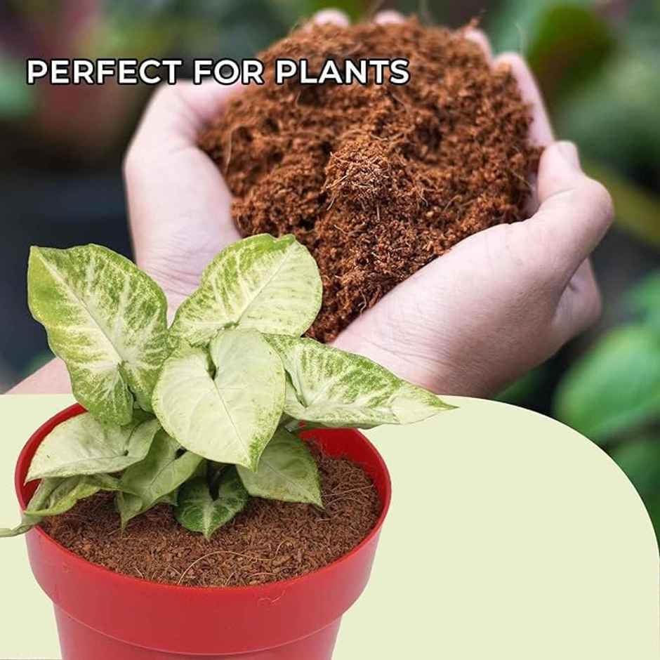 GARDENS COIR - Cocopeat Block (Expands upto 75 LTR, 10.5 x 15 cm) Home Gardening