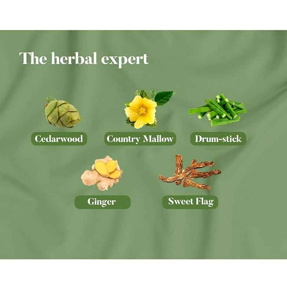 Himalaya Wellness Pain Relief Oil