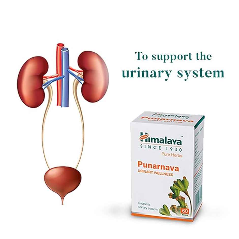 Himalaya Wellness Pure Herbs Punarnava Urinary Wellness Tablet