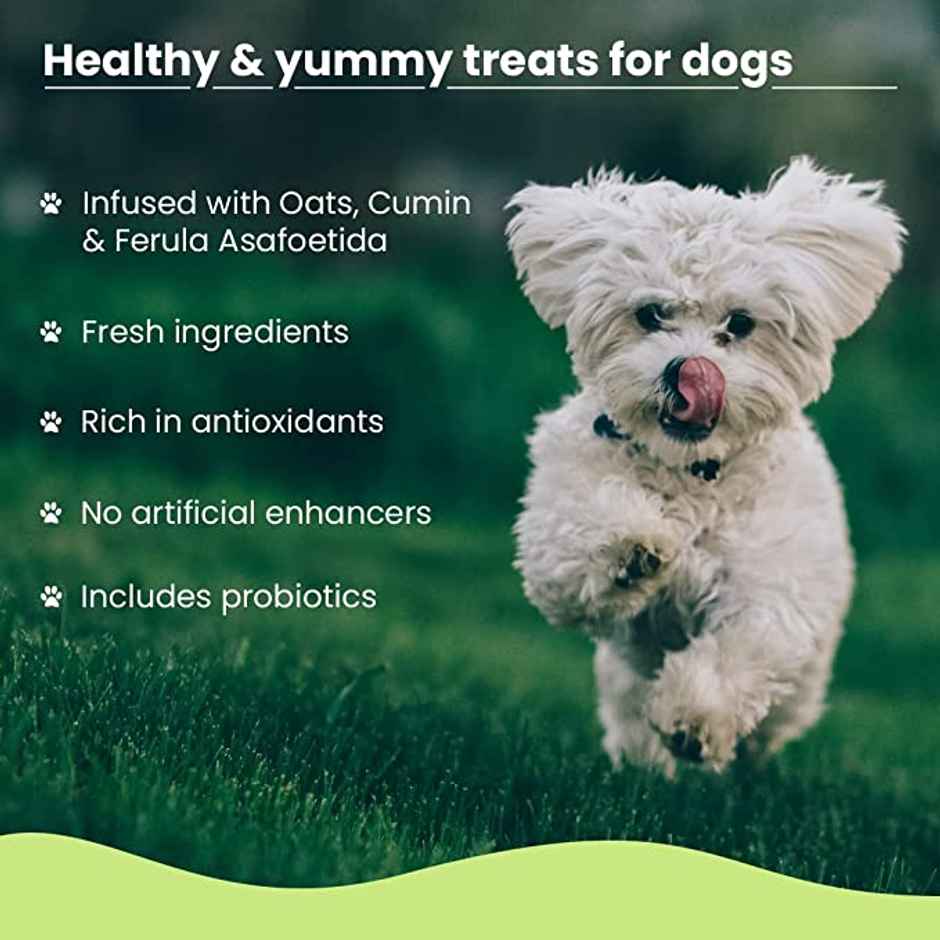 WIGGLES Barkstix Dog Treats for Training Adult Puppies, Oats, Probiotics & Cumin (Chicken & Banana)