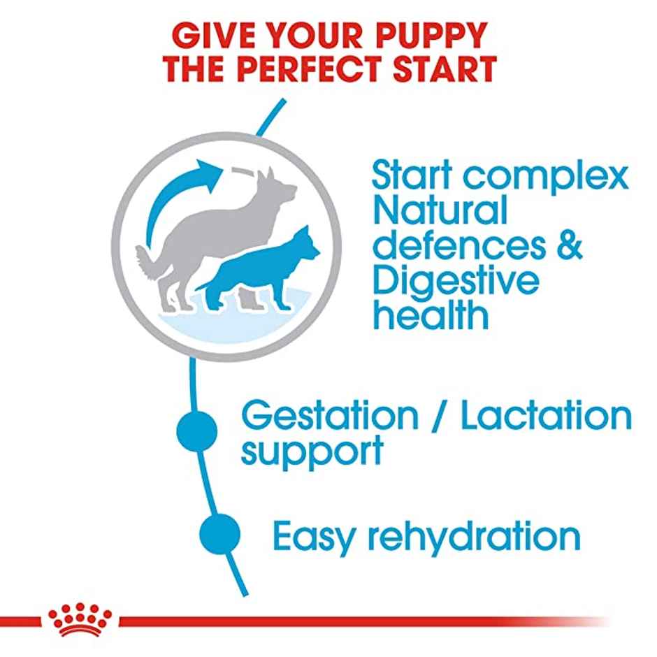 Royal Canin Maxi Starter