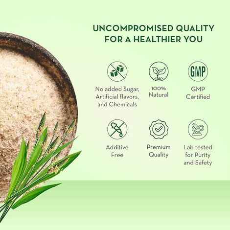 Baidyanath Isabgol - Psyllium Husk Powder