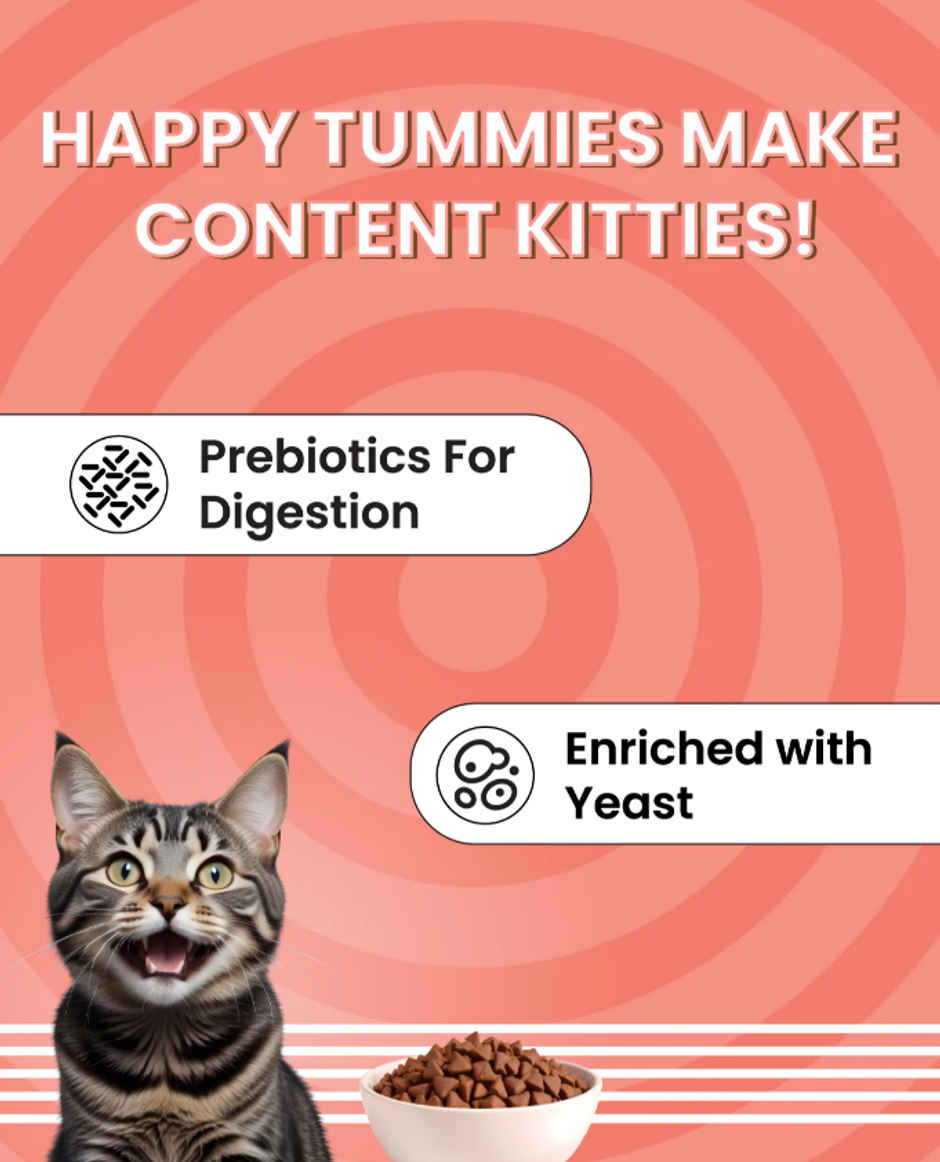 Bark Out Loud | Essentials Adult Cat Dry Food