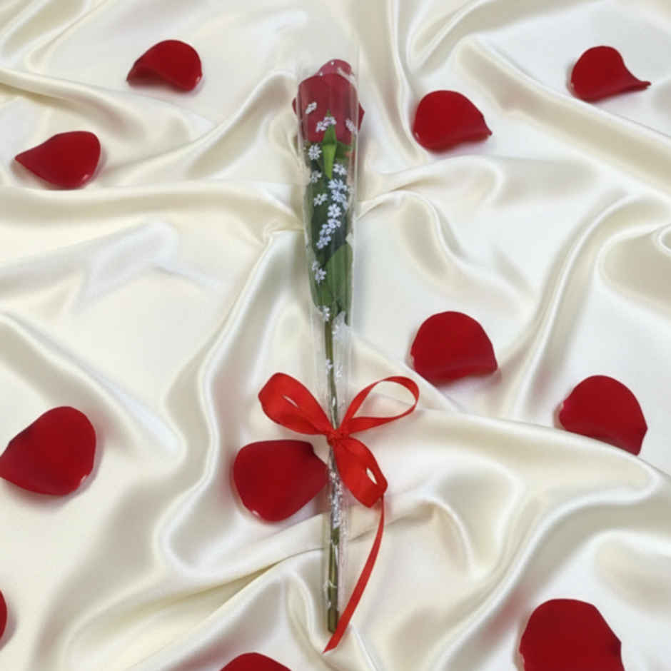 Single Rose Combo
