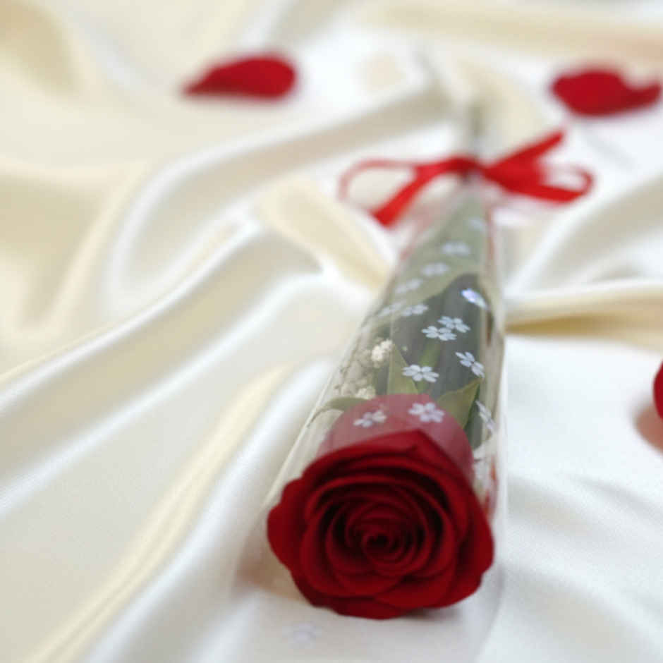 Single Rose Combo
