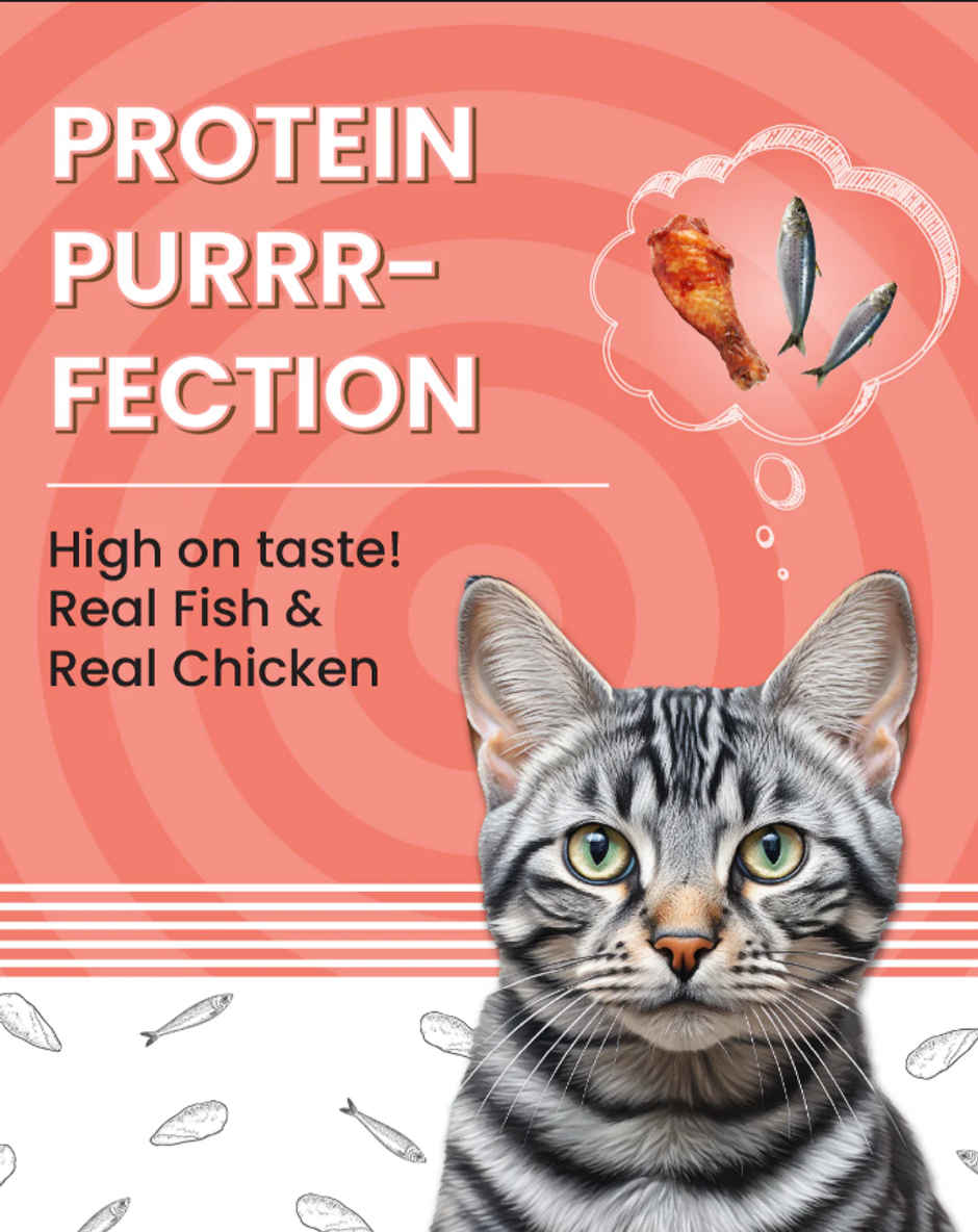 Bark Out Loud | Essentials Adult Cat Dry Food