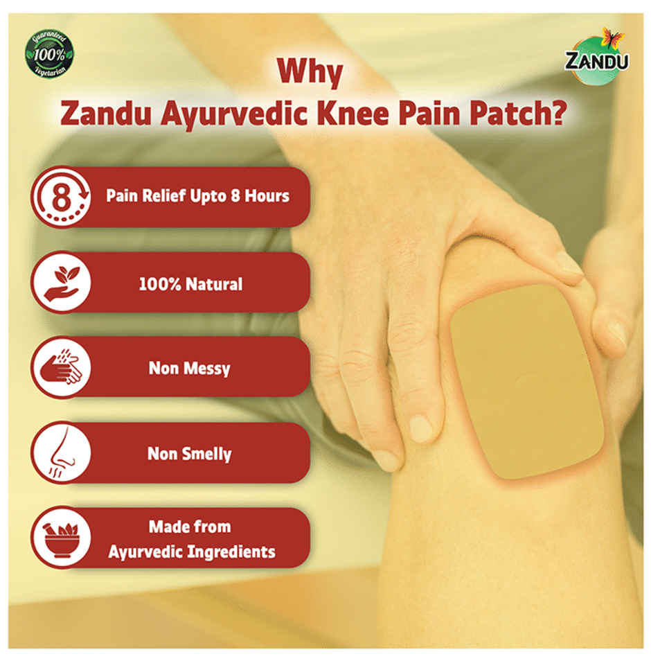 Zandu Ayurvedic Pain Relief Patch (Pack of 5 patches)