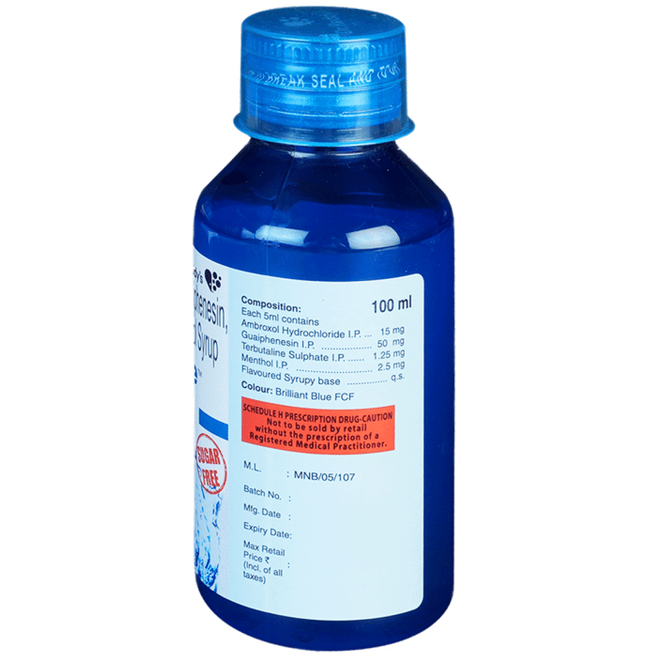 Viscodyne Sugar Free Syrup