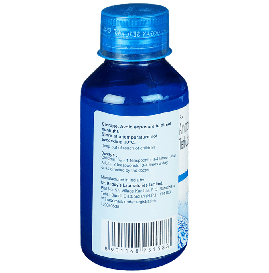 Viscodyne Sugar Free Syrup