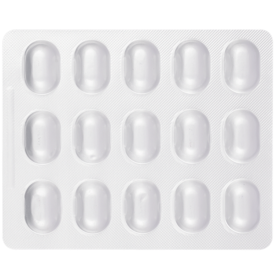 Temsan-H Tablet