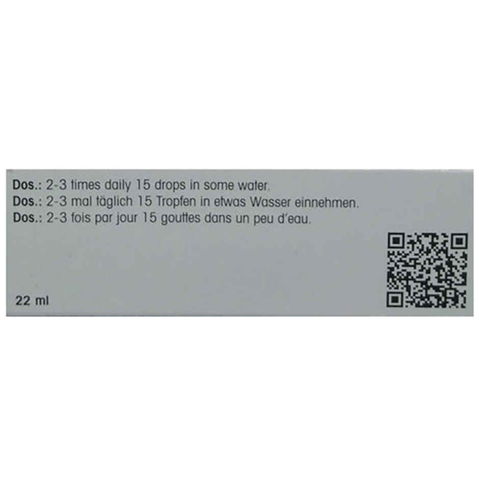 Dr. Reckeweg R41 Sexual Neurasthenia Drop