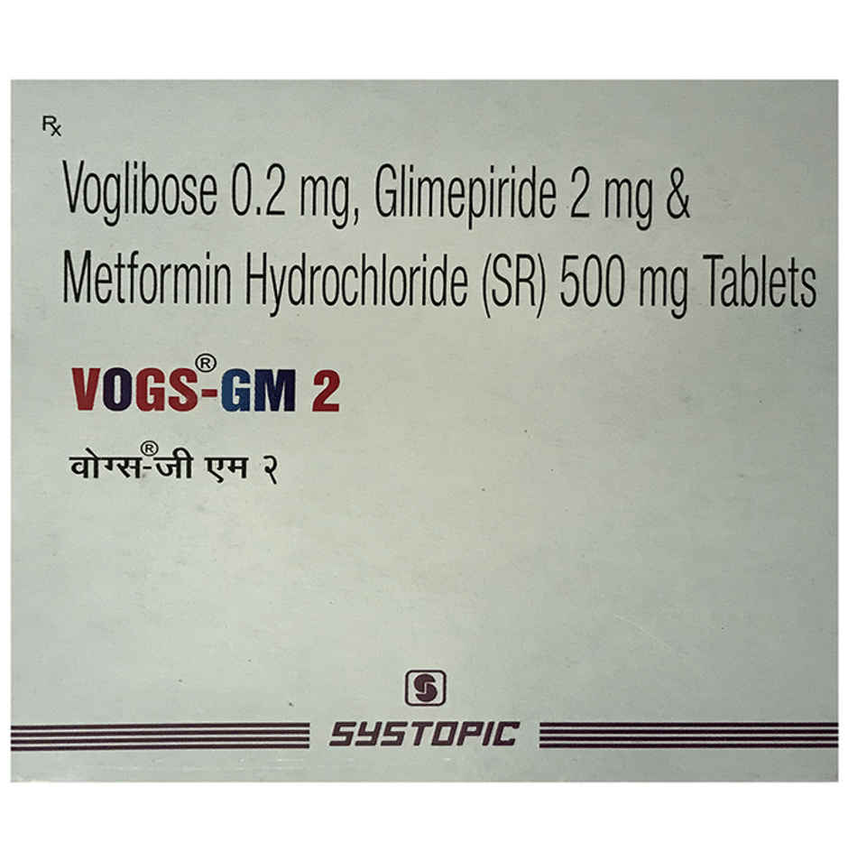 Vogs-GM 2 Tablet SR