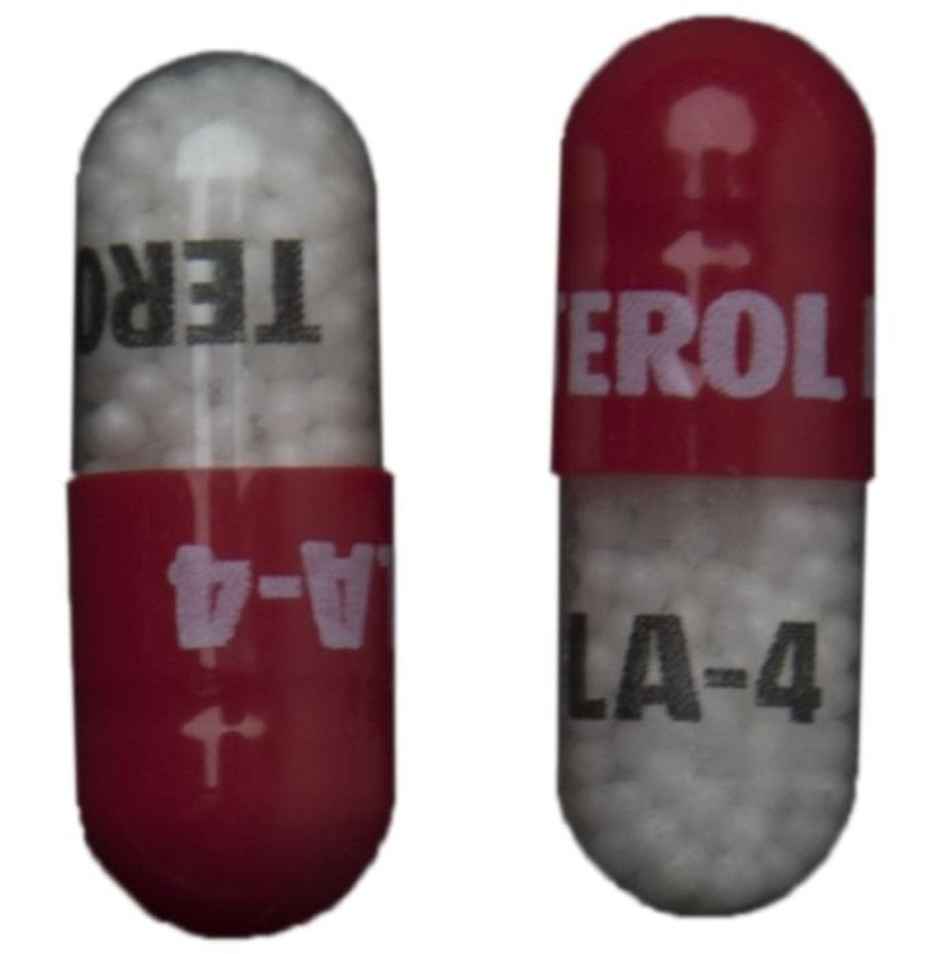 Terol LA 4 Capsule ER