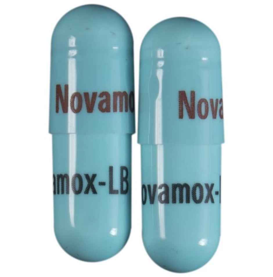 Novamox-LB 500 Capsule