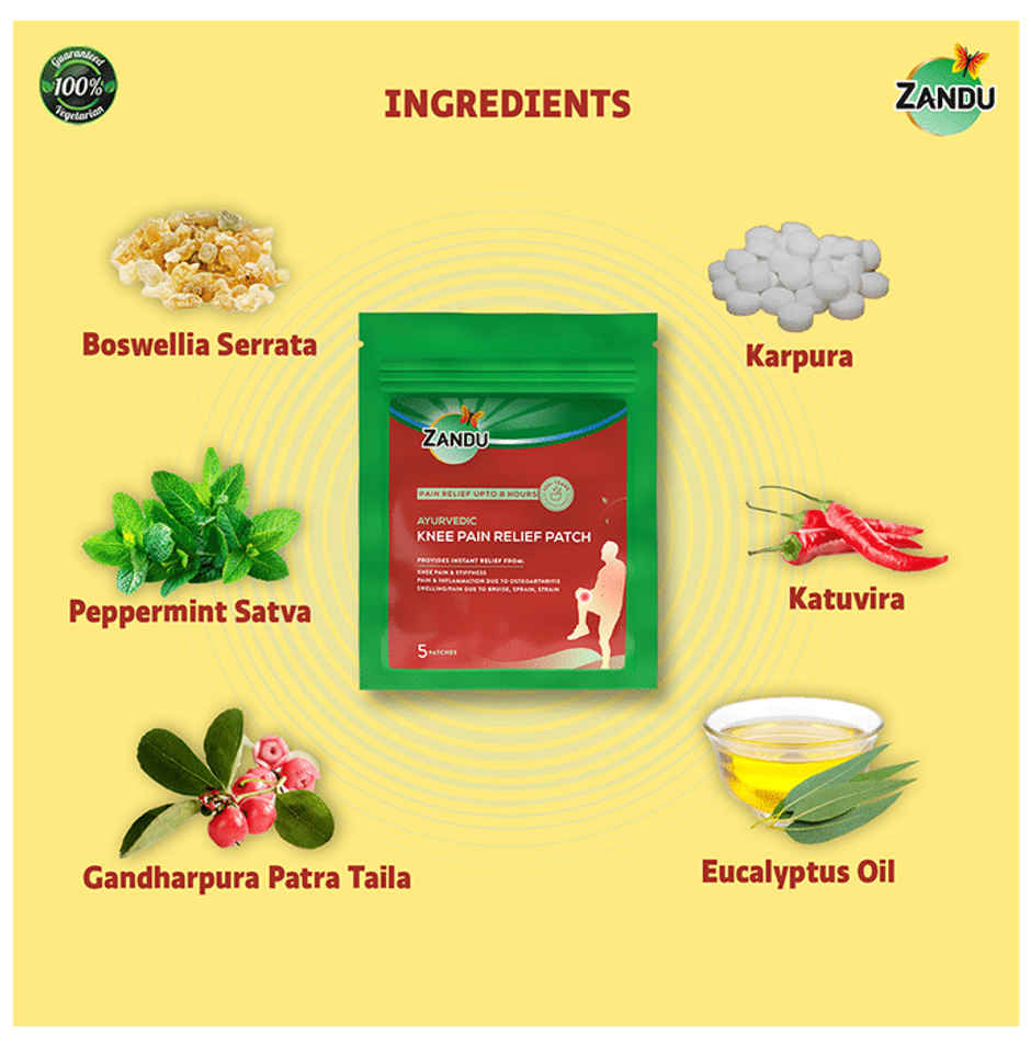 Zandu Ayurvedic Pain Relief Patch (Pack of 5 patches)