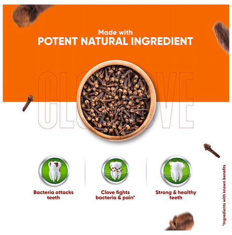 Dabur Herb'l Clove - Cavity Protection Toothpaste