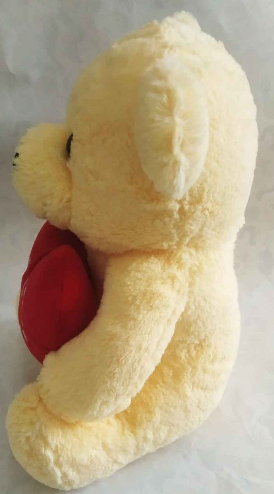 Sterling Hug Me Teddy | 30 Cm - Assorted Colour & Design