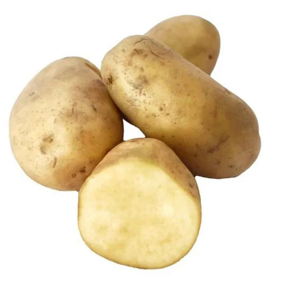Potato Carisma Combo