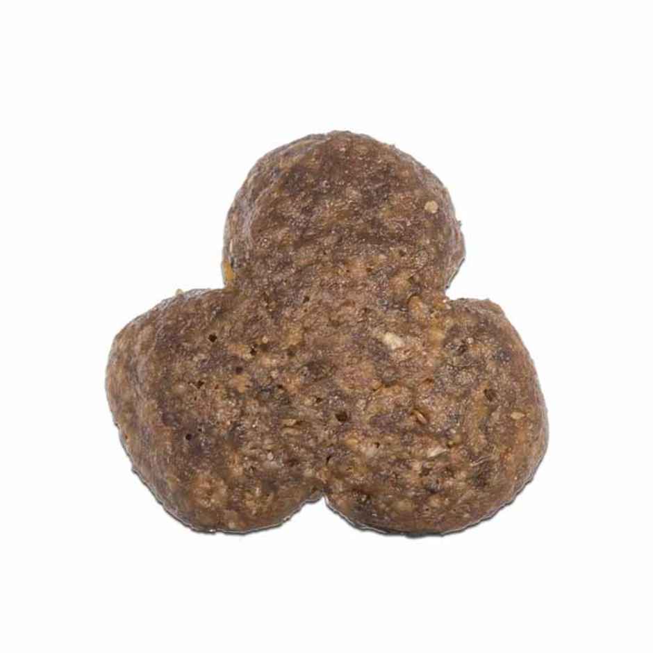 Arden Grange Adult Dog Fresh Salmon & Rice