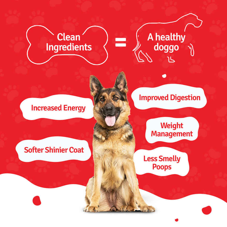 Blep 100% Natural Lamb Broth For Dogs And Cats | 5 Packs | Zero Preservatives (500g) & Blep 100% Natural Dog Food | Lamb Blueberry Trial Pack | 5 Packs | Zero Preservatives (500g) Combo