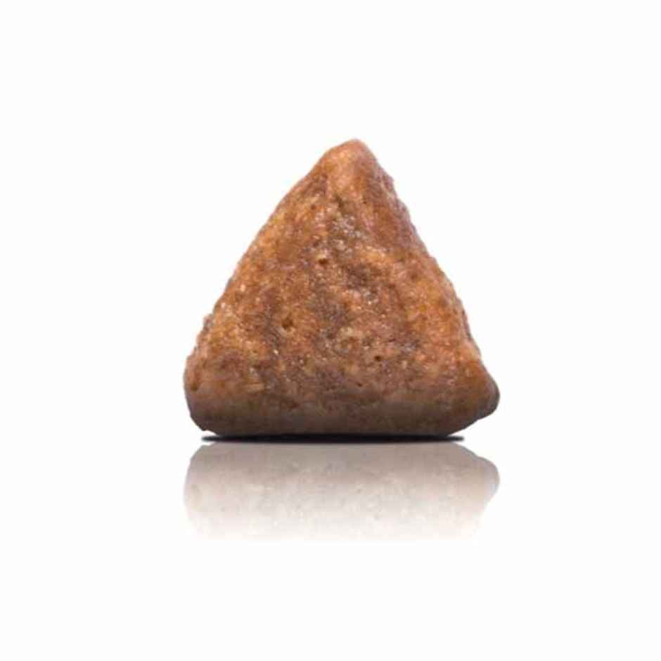 Arden Grange Dry Adult Cat Food Chicken & Potato