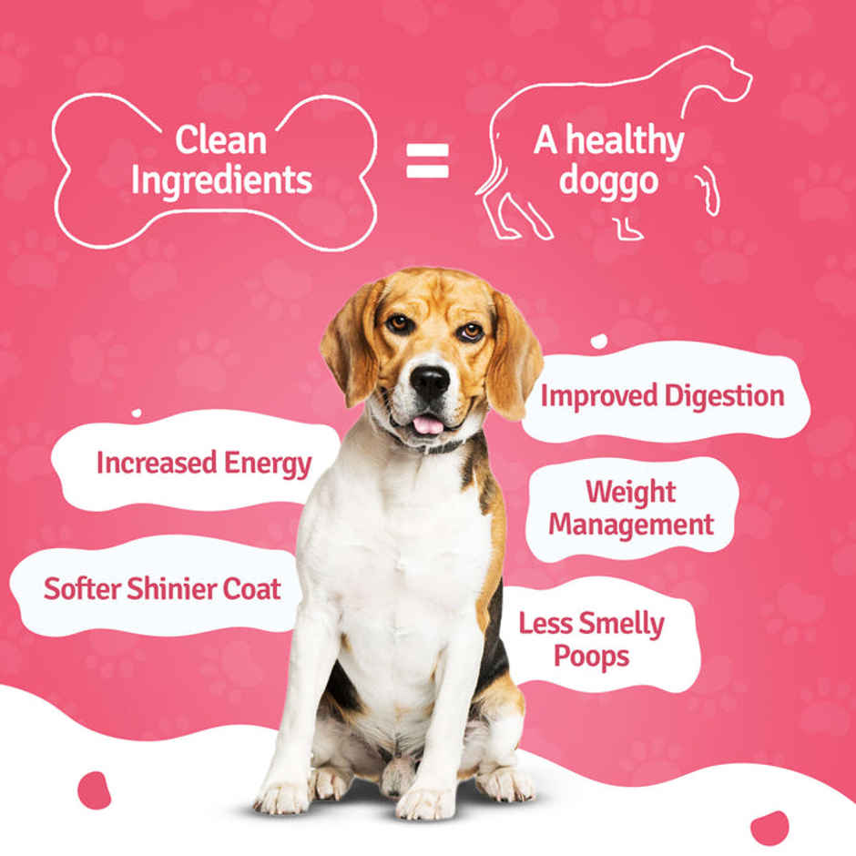 BLEP 100% Natural Dog Food | Chicken Broccoli | 7 Packs | Zero Preservatives Combo