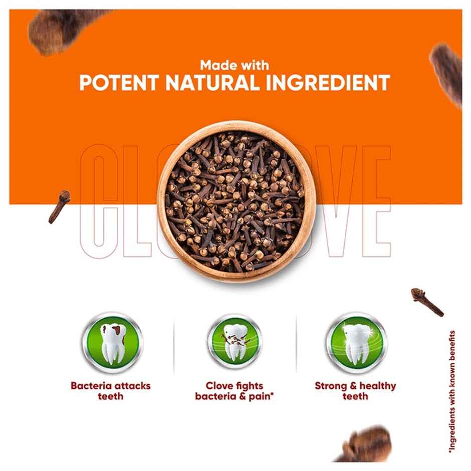 Dabur Herb'l Clove - Cavity Protection Toothpaste