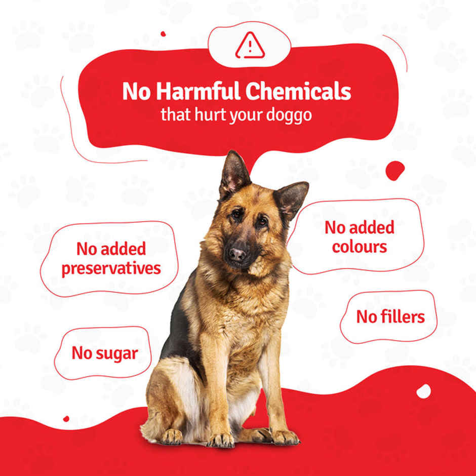 Blep 100% Natural Lamb Broth For Dogs And Cats | 5 Packs | Zero Preservatives (500g) & Blep 100% Natural Dog Food | Lamb Blueberry Trial Pack | 5 Packs | Zero Preservatives (500g) Combo