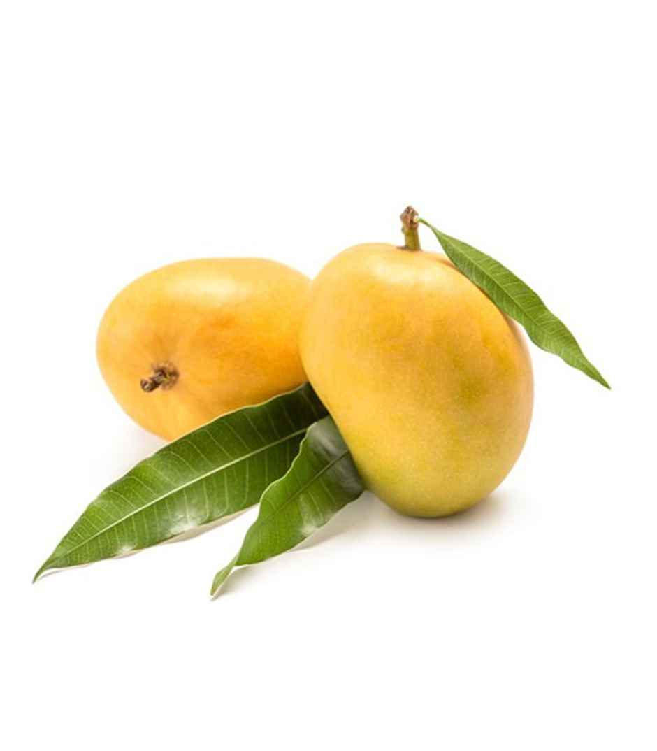 Mango Salem Bangalora