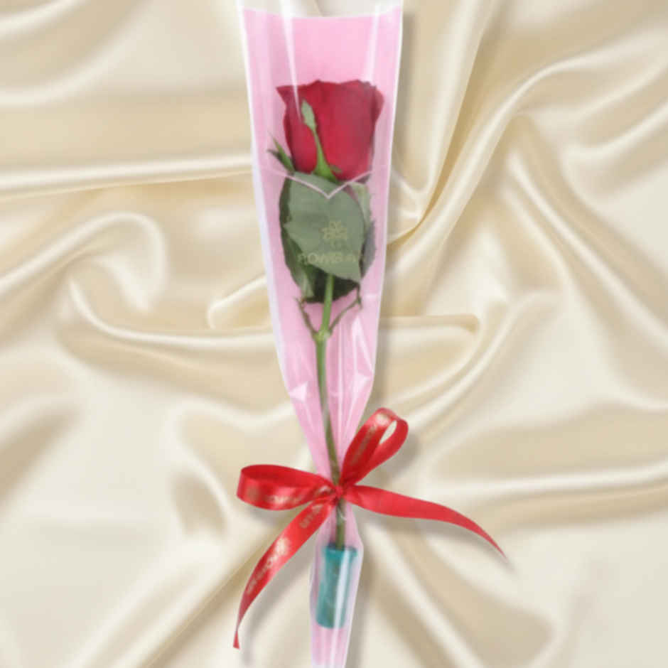 Kwality Walls Cornetto Strawberry Vanilla Cone (105ml) & Floweraura Signature Red Rose In Sleeve (1pc) & Kwality Wall'S Cornetto Choco Brownie Cone (110ml) Combo