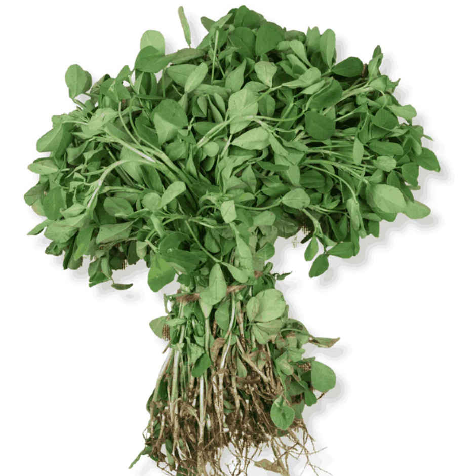 Fenugreek (Methi) Combo