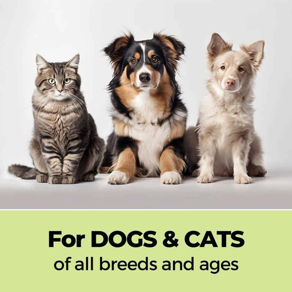 Moe Puppy Shampoo + Conditioner