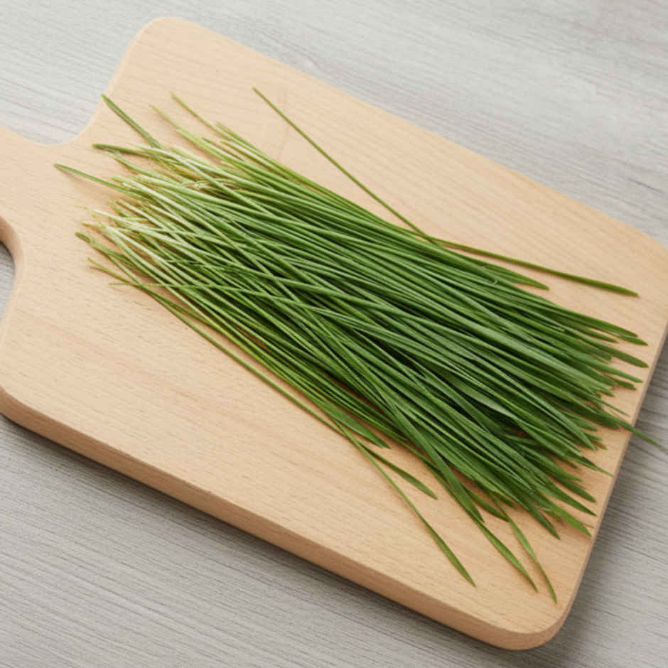 Wheatgrass